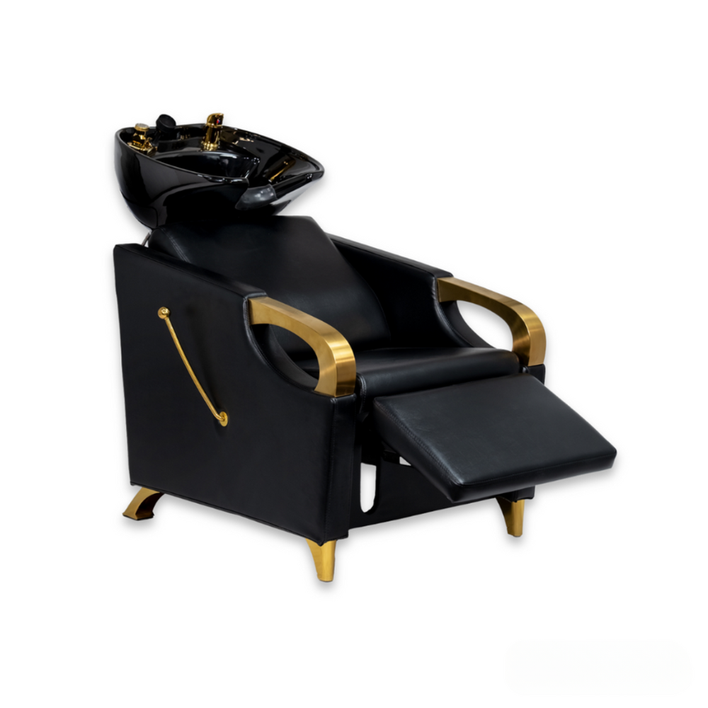 Aurum Luxe Backwash Unit