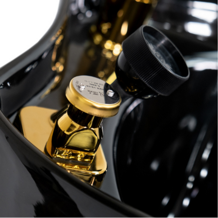 Aurum Luxe Backwash Unit